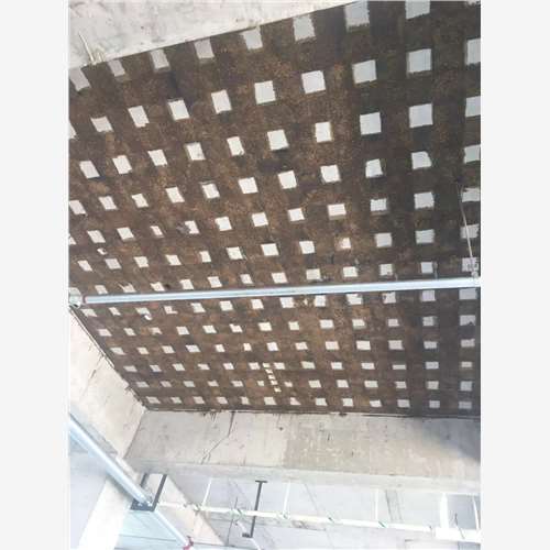 碳纤维加固